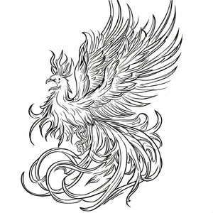 Firebird Illustration Coloring Page