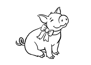 Adorable Piggy