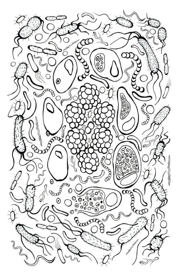 Examining the Most Basic Microorganisms Through a Microscope Coloring Page