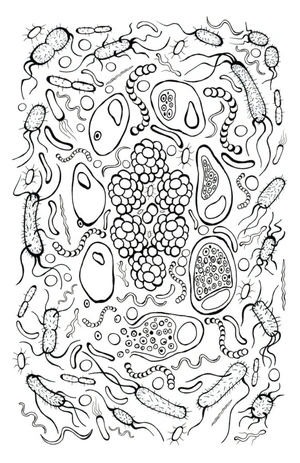 Examining the Most Basic Microorganisms Through a Microscope Coloring Page