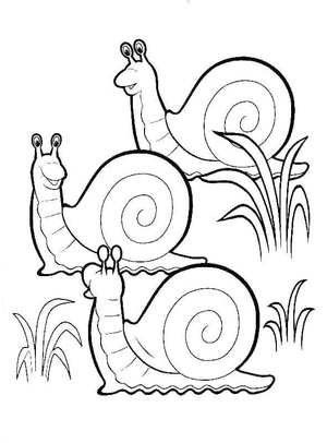 Garden Snails
