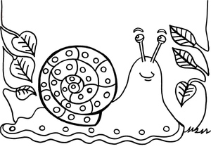 Snail Design