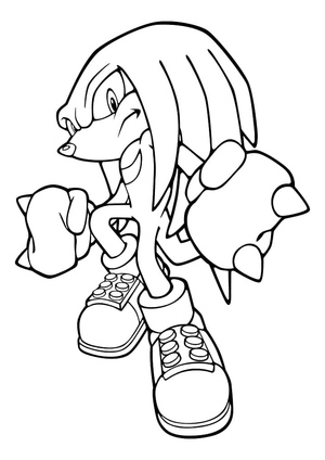 Echidna is the same species as Knuckles from Sonic franchise