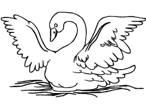 Basic Swan Sketch