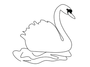 Swan