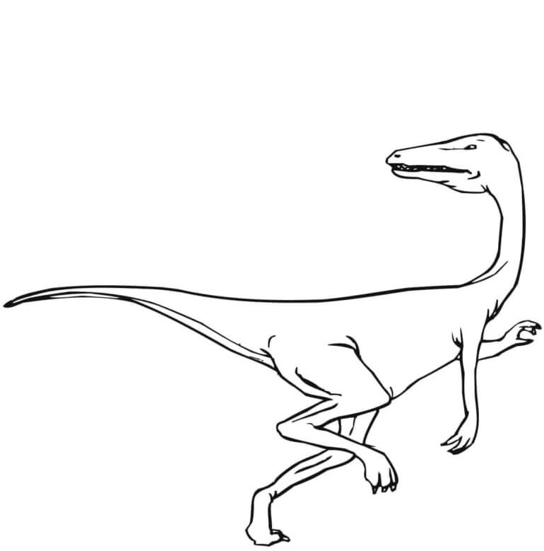Free Velociraptor Coloring Page Coloring Page