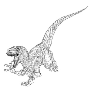 Velociraptor