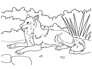Free Wolf Coloring Page For Kids