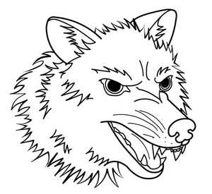 Head of a Wolf