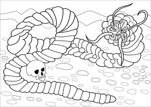 Mongolian Desert Worm Coloring Page