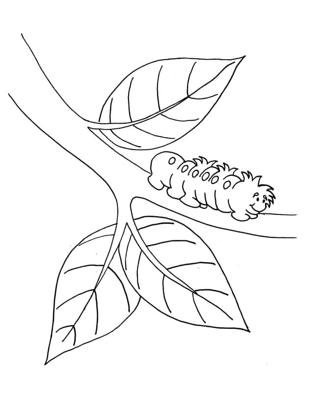 Simple Worm on a Tree Branch Coloring Page